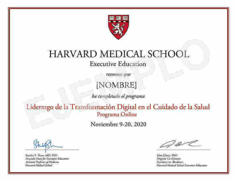 Harvard Medical School Liderazgo De La Transformación Digital En El