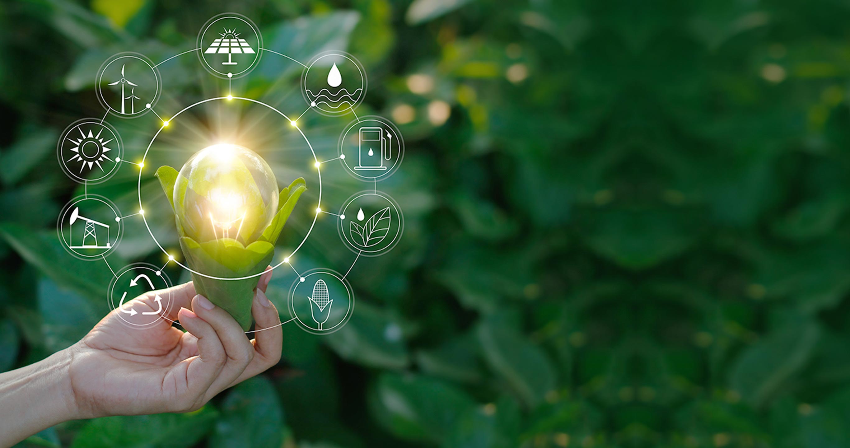 Singapore Management University Sustainability Strategies and Green Economy Programme | Online Certificate Program